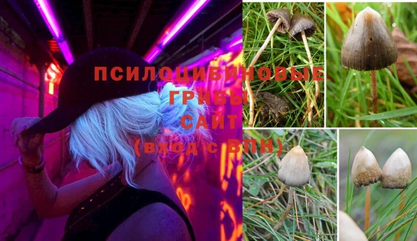 ешки Нефтегорск