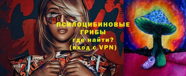 прущая мука Нея