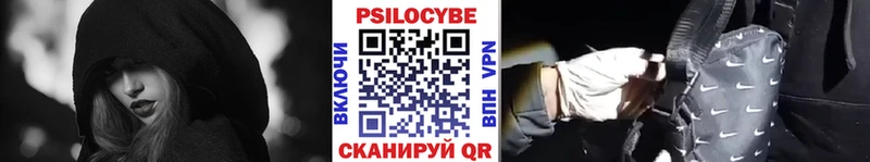 Псилоцибиновые грибы Psilocybe  где найти   Малаховка 